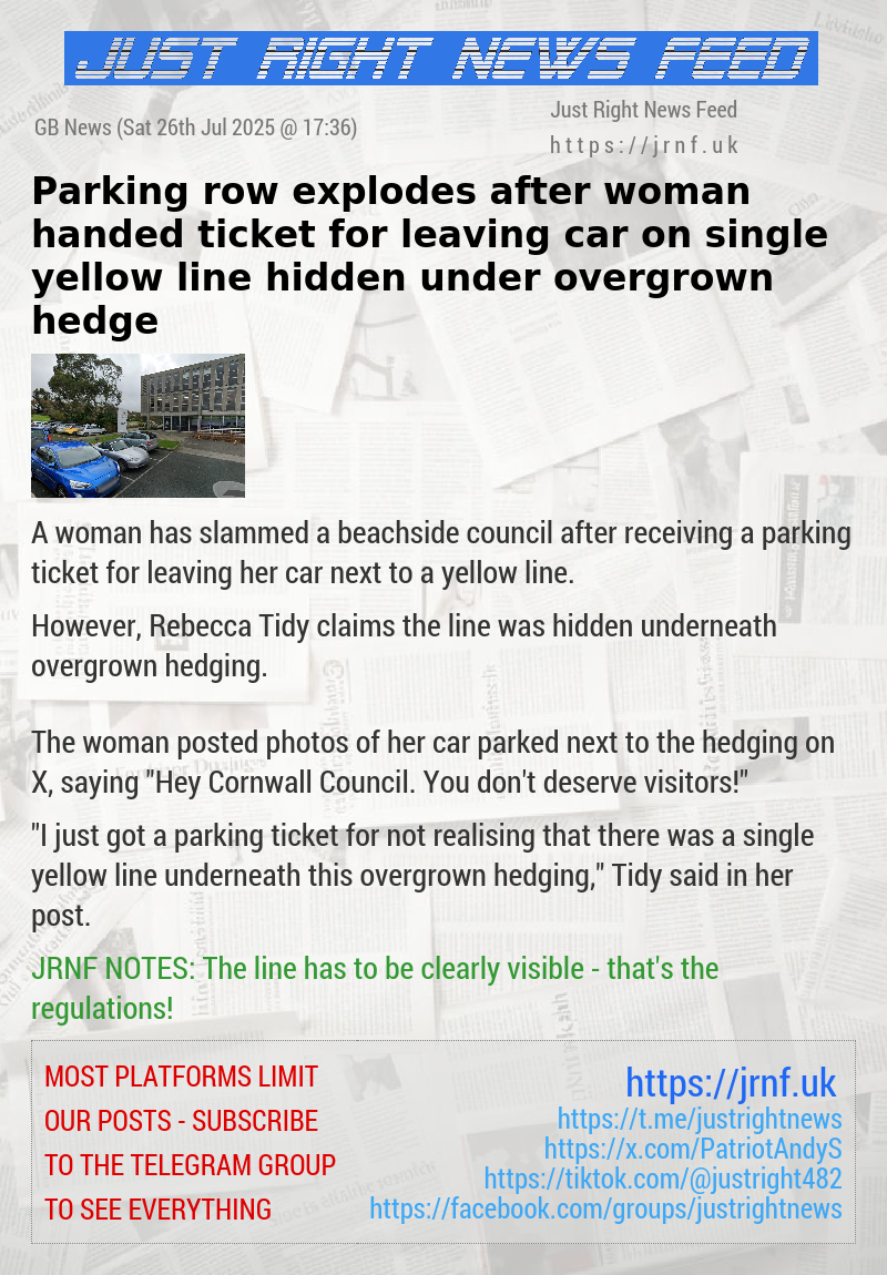 Parking row explodes after woman handed ticket for leaving car on single yellow line hidden under overgrown hedge