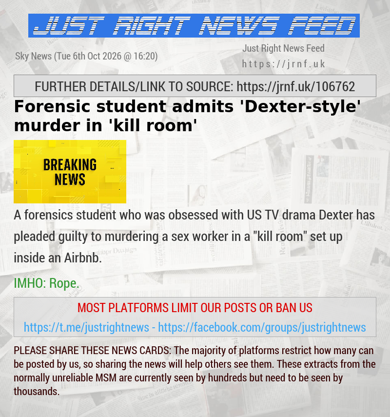 Forensic student admits ’Dexter—style’ murder in ’kill room’