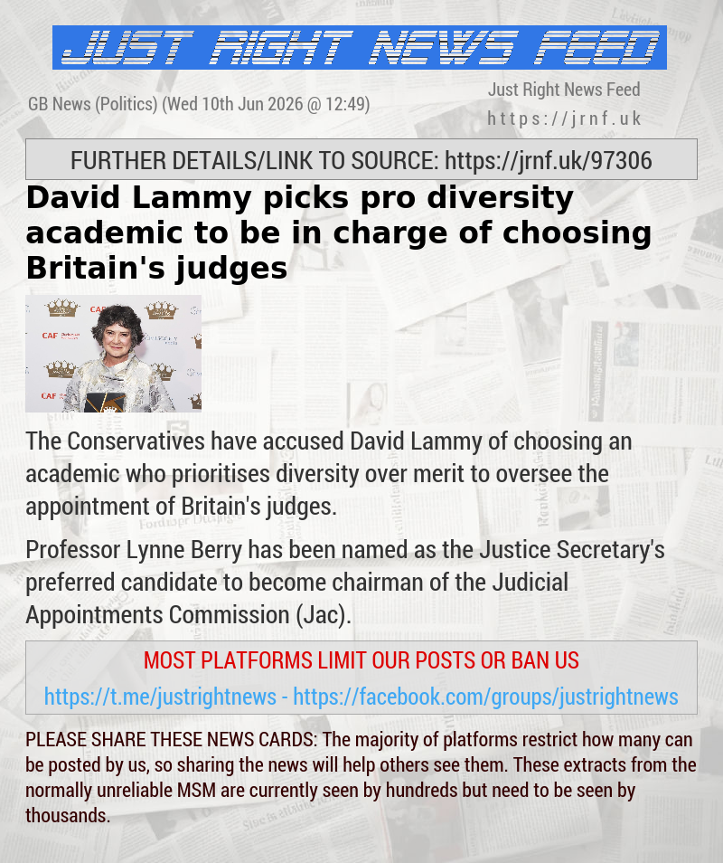 David Lammy picks pro—diversity academic to be in charge of choosing Britain’s judges
