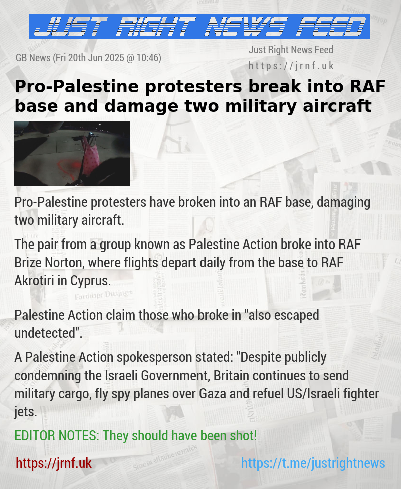 Pro—Palestine protesters break into RAF base and damage two military aircraft