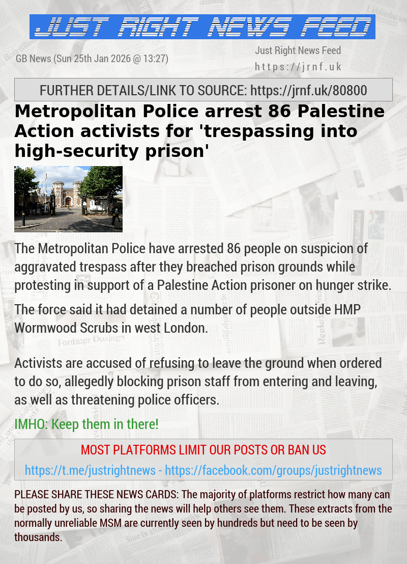 Metropolitan Police arrest 86 Palestine Action activists for ’trespassing into high—security prison’