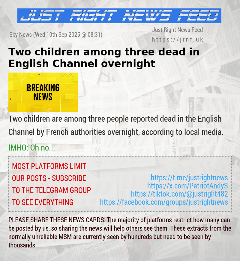 Two children among three dead in English Channel overnight