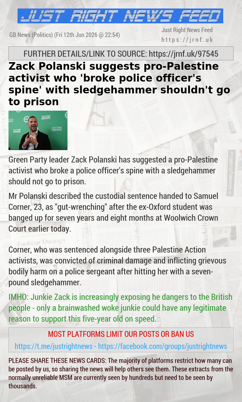 Zack Polanski suggests pro—Palestine activist who ’broke police officer’s spine’ with sledgehammer shouldn’t go to prison
