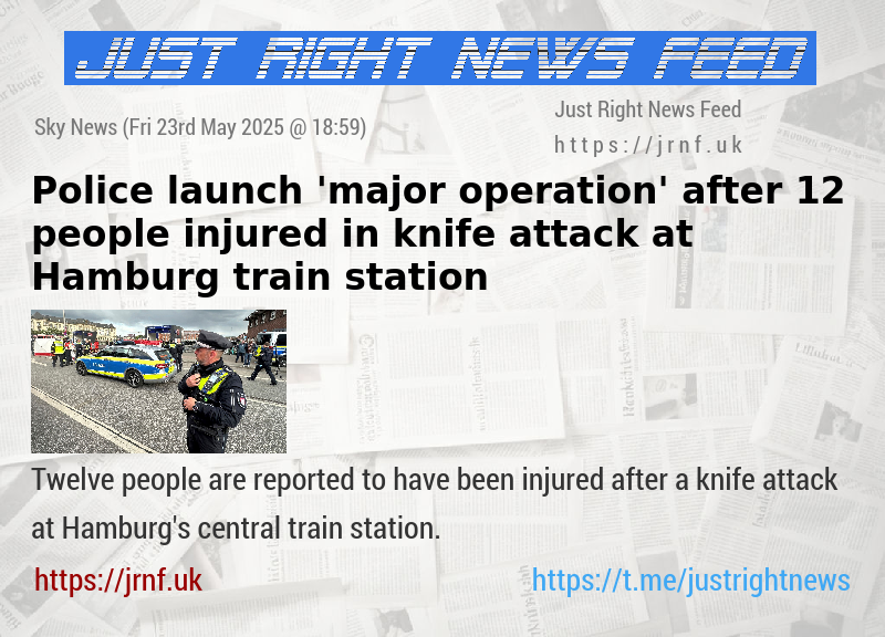 Police launch ’major operation’ after 12 people injured in knife attack at Hamburg train station