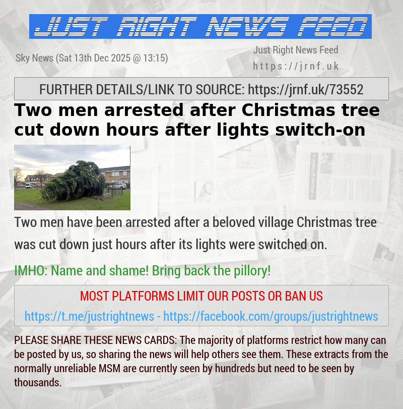Two men arrested after Christmas tree cut down hours after lights switch—on