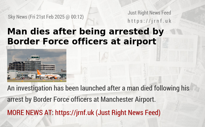 Man dies after being arrested by Border Force officers at airport