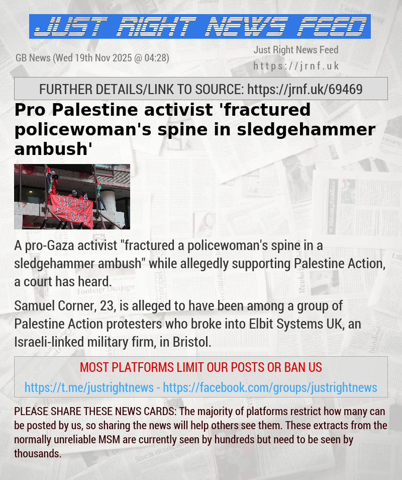 Pro—Palestine activist ’fractured policewoman’s spine in sledgehammer ambush’