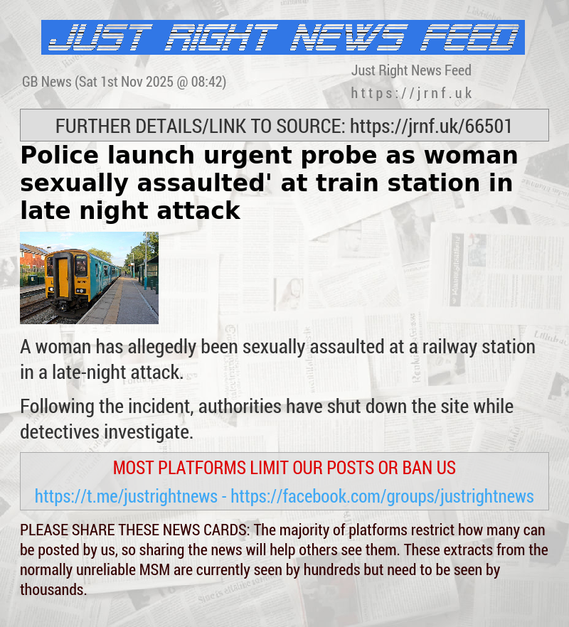 Police launch urgent probe as woman ‘sexually assaulted’ at train station in late night attack