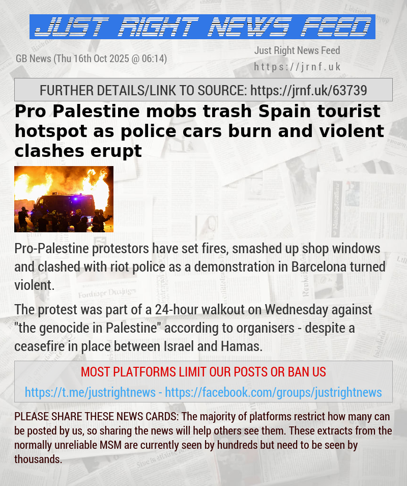 Pro—Palestine mobs trash Spain tourist hotspot as police cars burn and violent clashes erupt