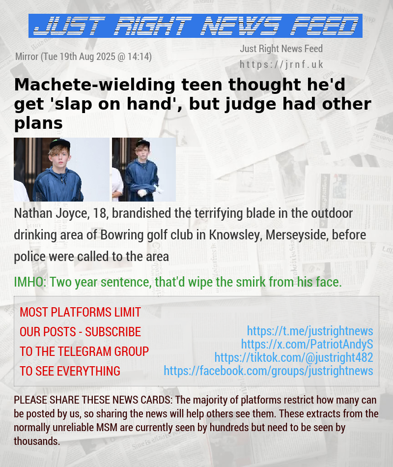 Machete—wielding teen thought he’d get ’slap on hand’, but judge had other plans