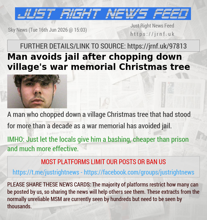 Man avoids jail after chopping down village’s war memorial Christmas tree 