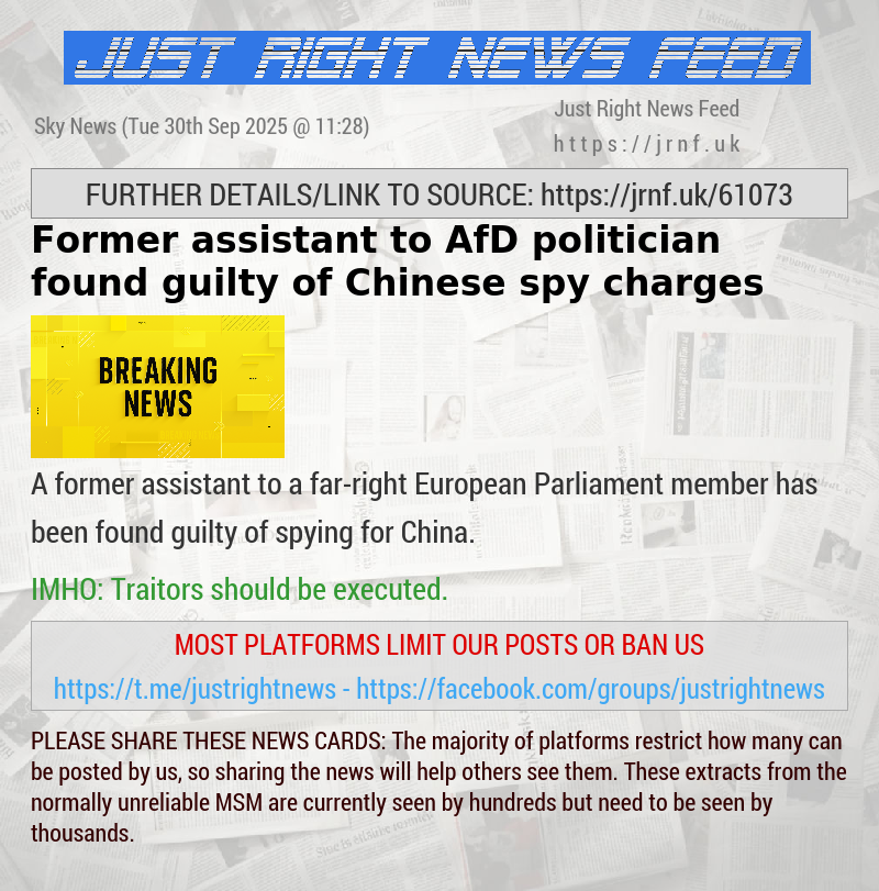 Former assistant to AfD politician found guilty of Chinese spy charges