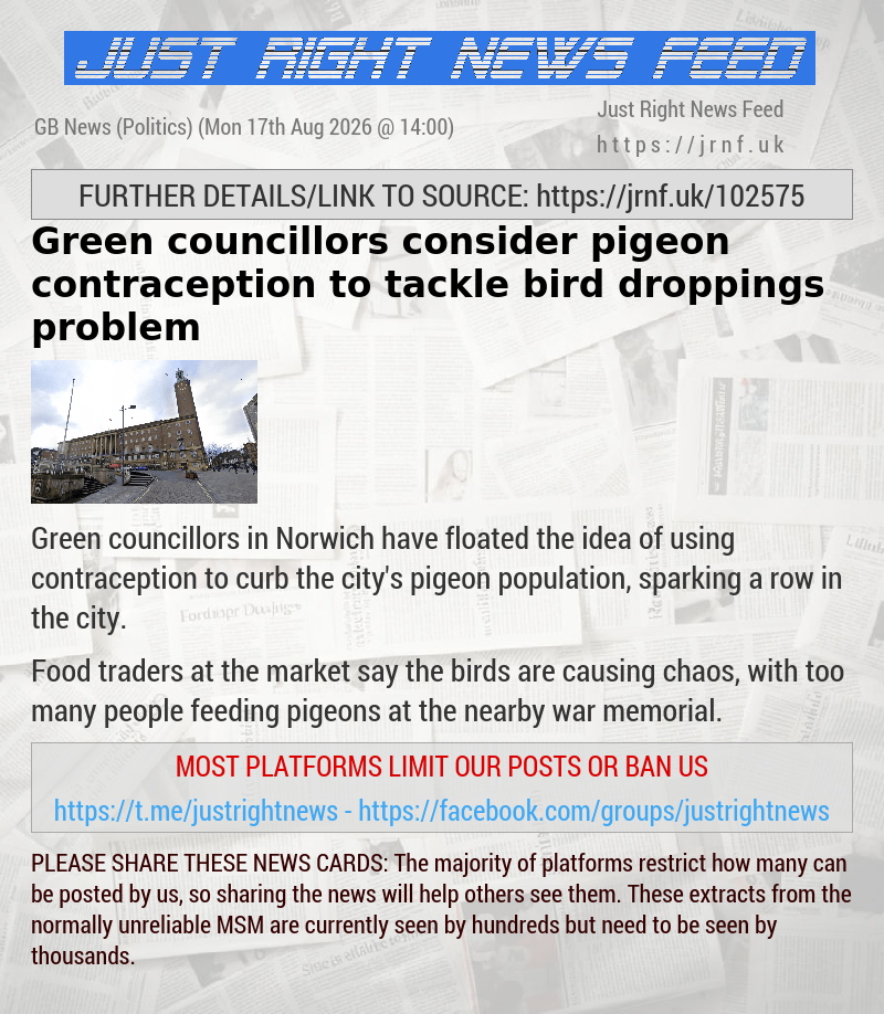 Green councillors consider pigeon contraception to tackle bird droppings problem