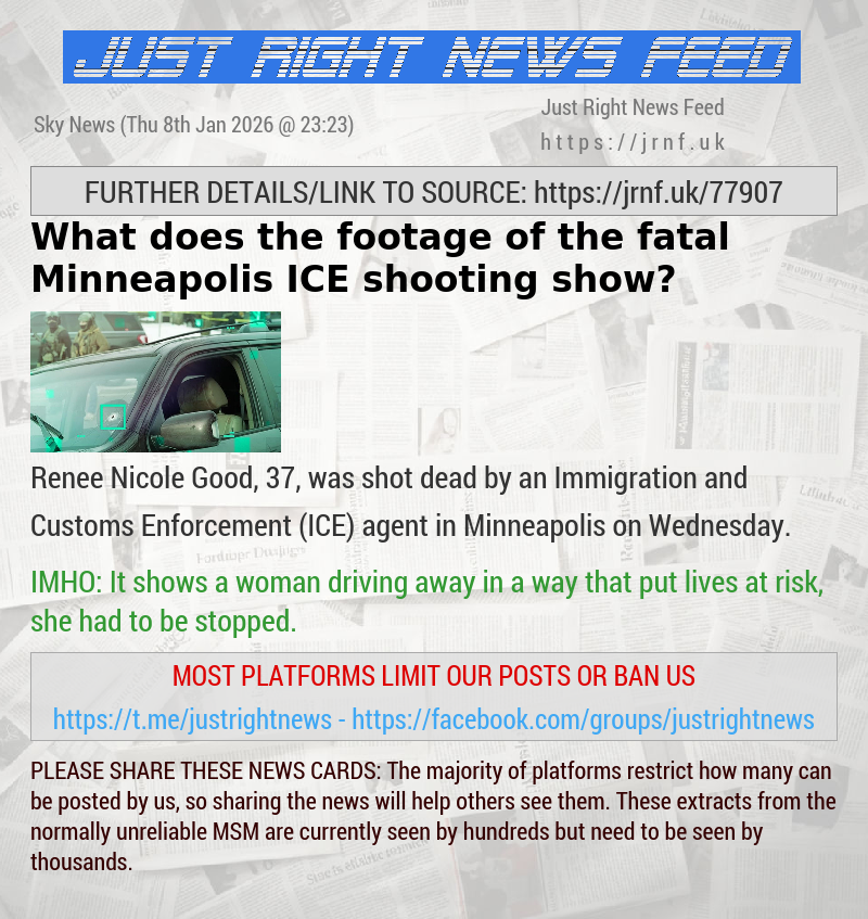 What does the footage of the fatal Minneapolis ICE shooting show?  