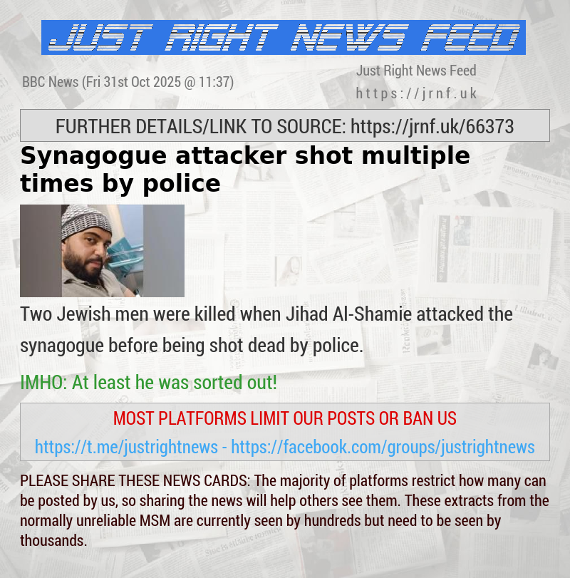 Synagogue attacker shot multiple times by police