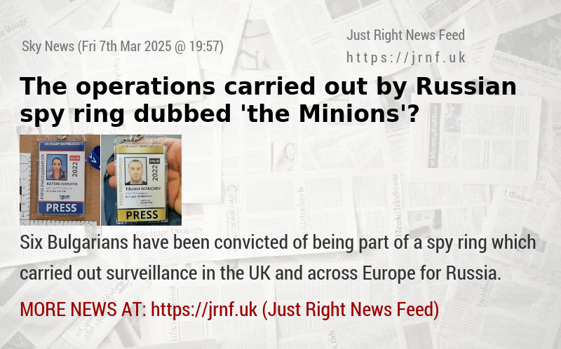 The operations carried out by Russian spy ring dubbed ’the Minions’?