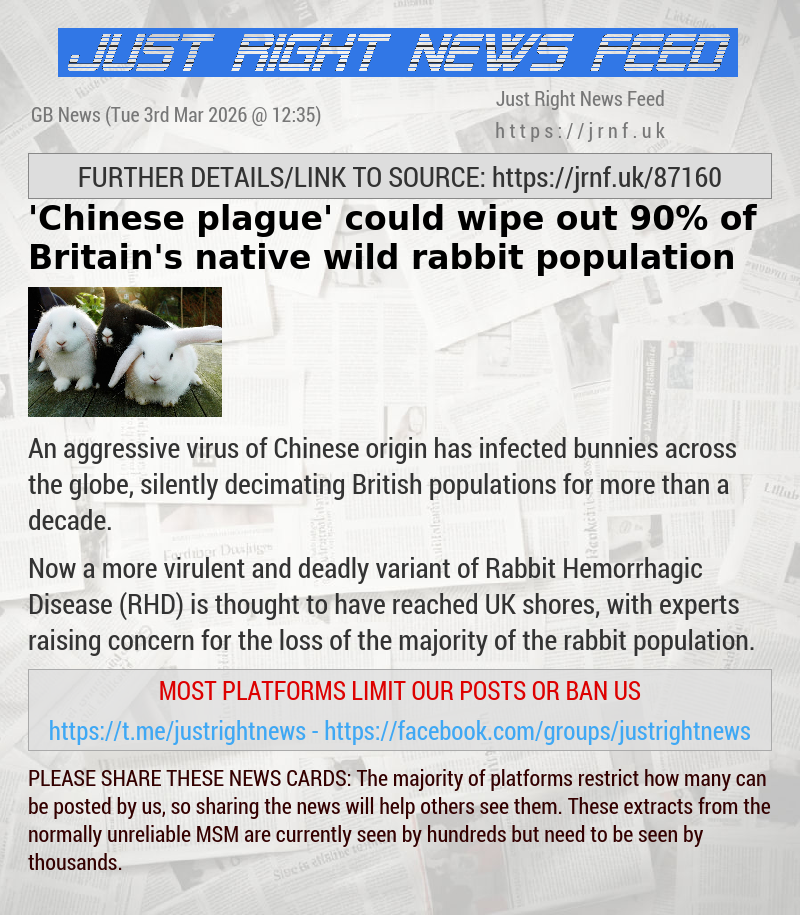 ’Chinese plague’ could wipe out 90% of Britain’s native wild rabbit population