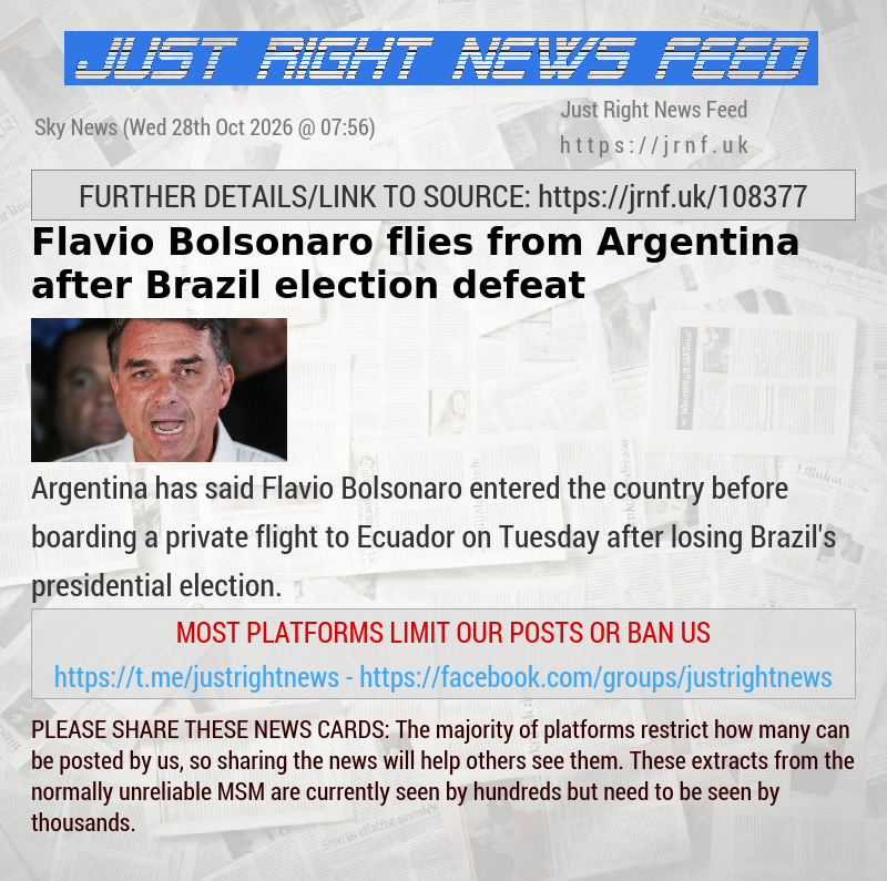 Flavio Bolsonaro flies from Argentina after Brazil election defeat