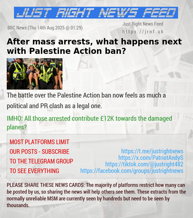 After mass arrests, what happens next with Palestine Action ban?