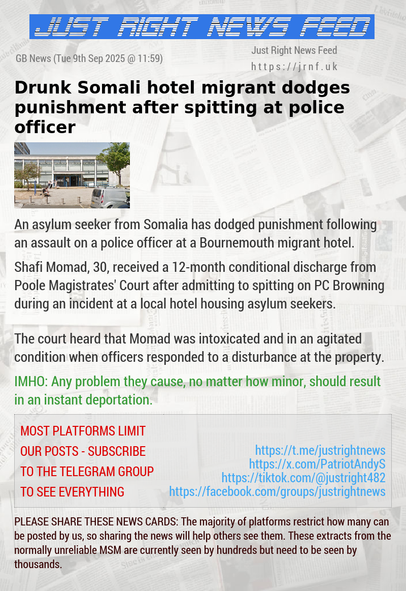 Drunk Somali hotel migrant dodges punishment after spitting at police officer