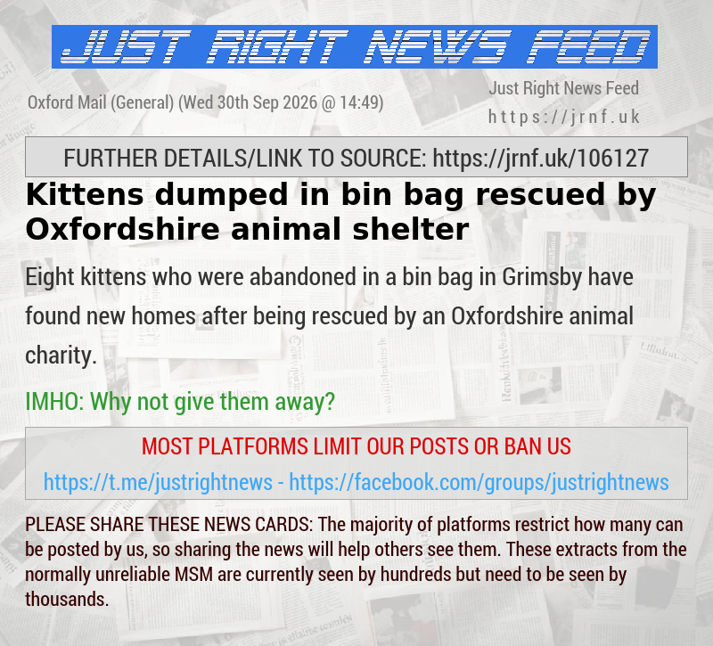 Kittens dumped in bin bag rescued by Oxfordshire animal shelter
