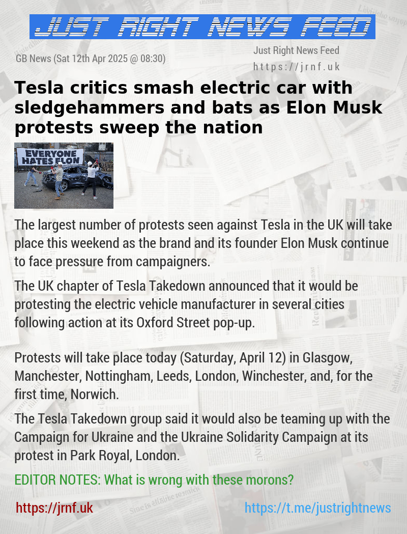 Tesla critics smash electric car with sledgehammers and bats as Elon Musk protests sweep the nation