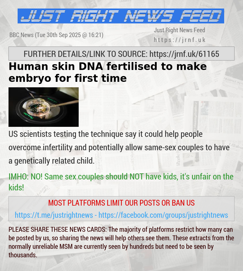 Human skin DNA fertilised to make embryo for first time