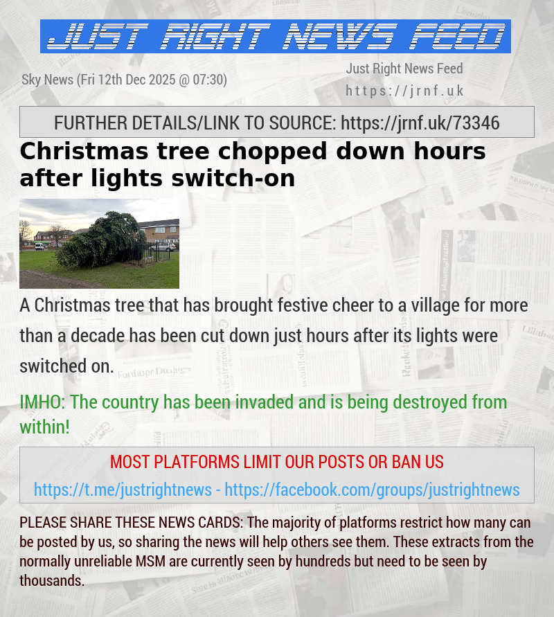 Christmas tree chopped down hours after lights switch—on