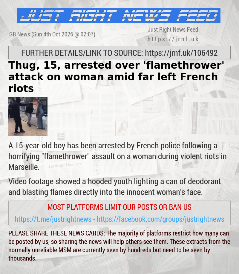 Thug, 15, arrested over ’flamethrower’ attack on woman amid far—left French riots