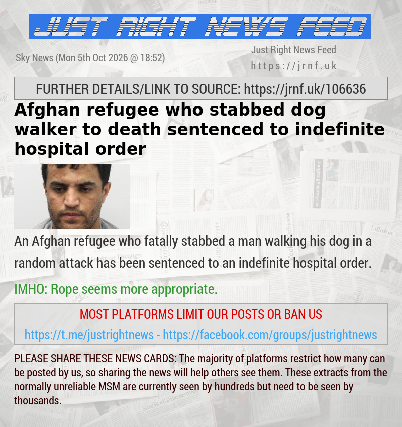Afghan refugee who stabbed dog walker to death sentenced to indefinite hospital order