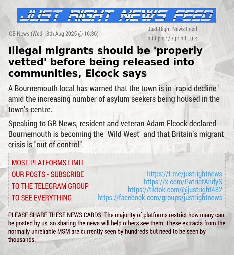 Illegal migrants should be ’properly vetted’ before being released into communities, Elcock says