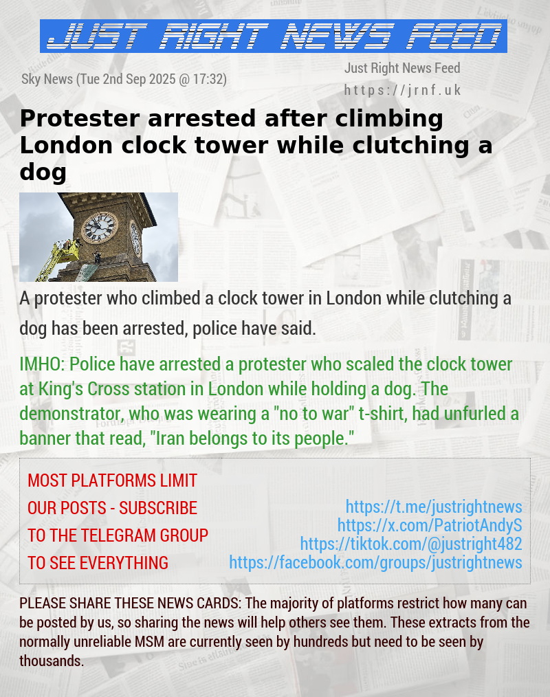 Protester arrested after climbing London clock tower while clutching a dog