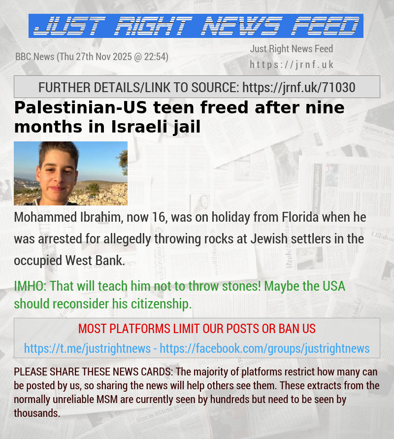 Palestinian—US teen freed after nine months in Israeli jail