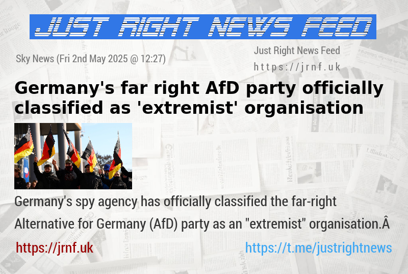 Germany’s far—right AfD party officially classified as ’extremist’ organisation