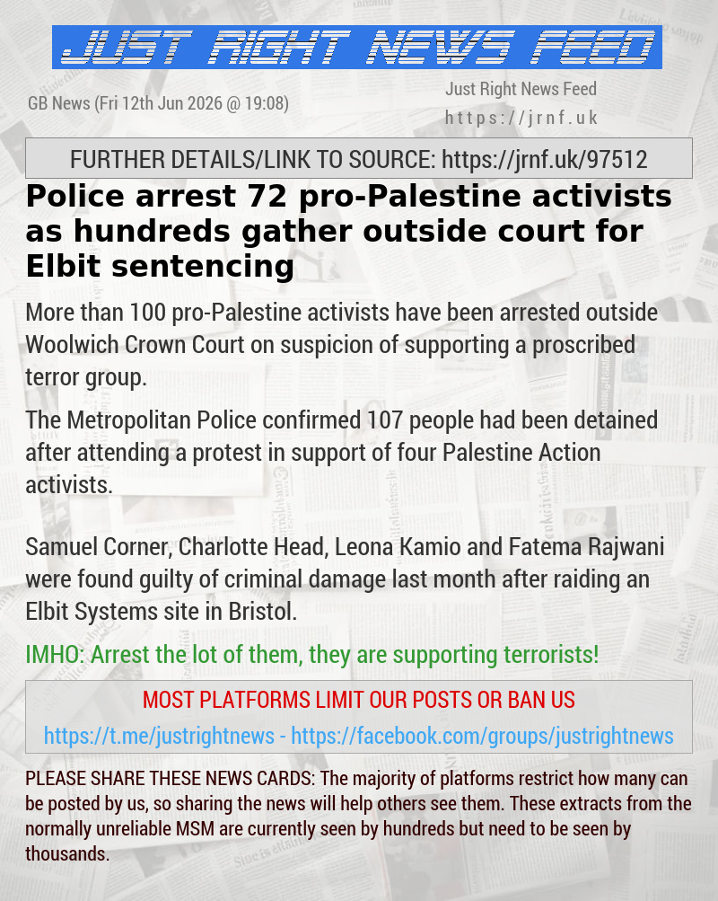 Police arrest 72 pro—Palestine activists as hundreds gather outside court for Elbit sentencing