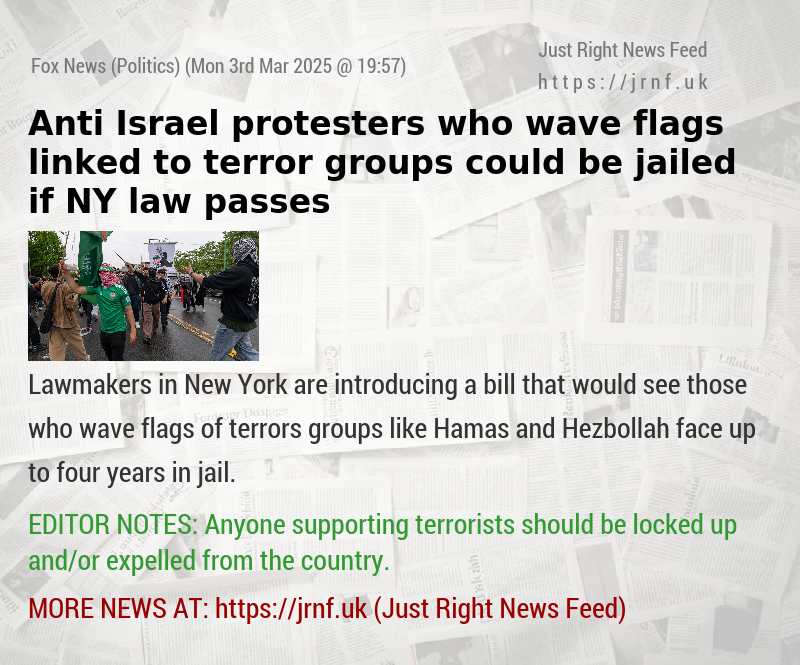 Anti—Israel protesters who wave flags linked to terror groups could be jailed if NY law passes