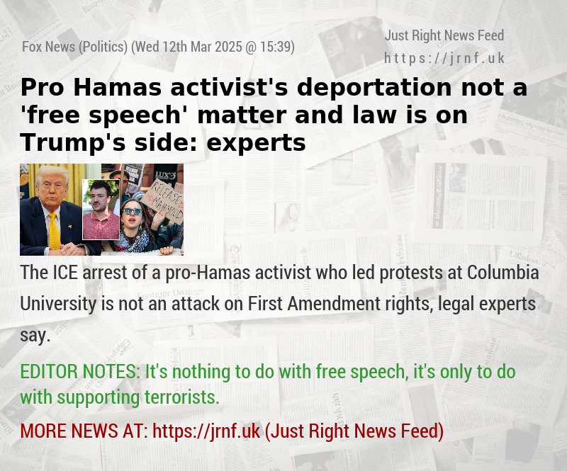 Pro—Hamas activist’s deportation not a ’free speech’ matter and law is on Trump’s side: experts