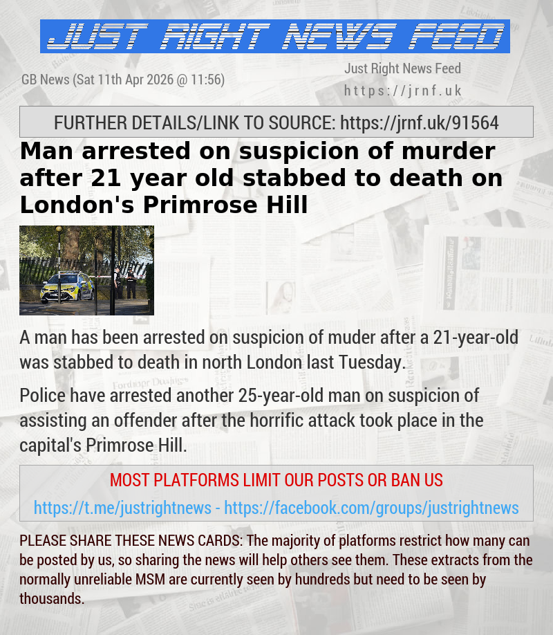 Man arrested on suspicion of murder after 21—year—old stabbed to death on London’s Primrose Hill