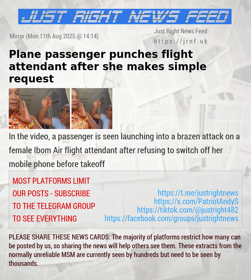 Plane passenger punches flight attendant after she makes simple request