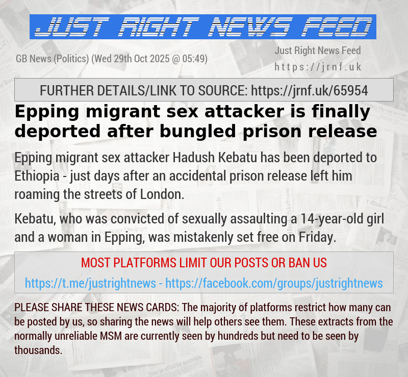 Epping migrant sex attacker is finally deported after bungled prison release