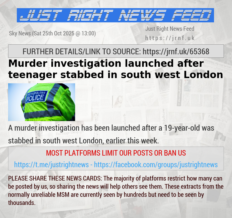 Murder investigation launched after teenager stabbed in south west London