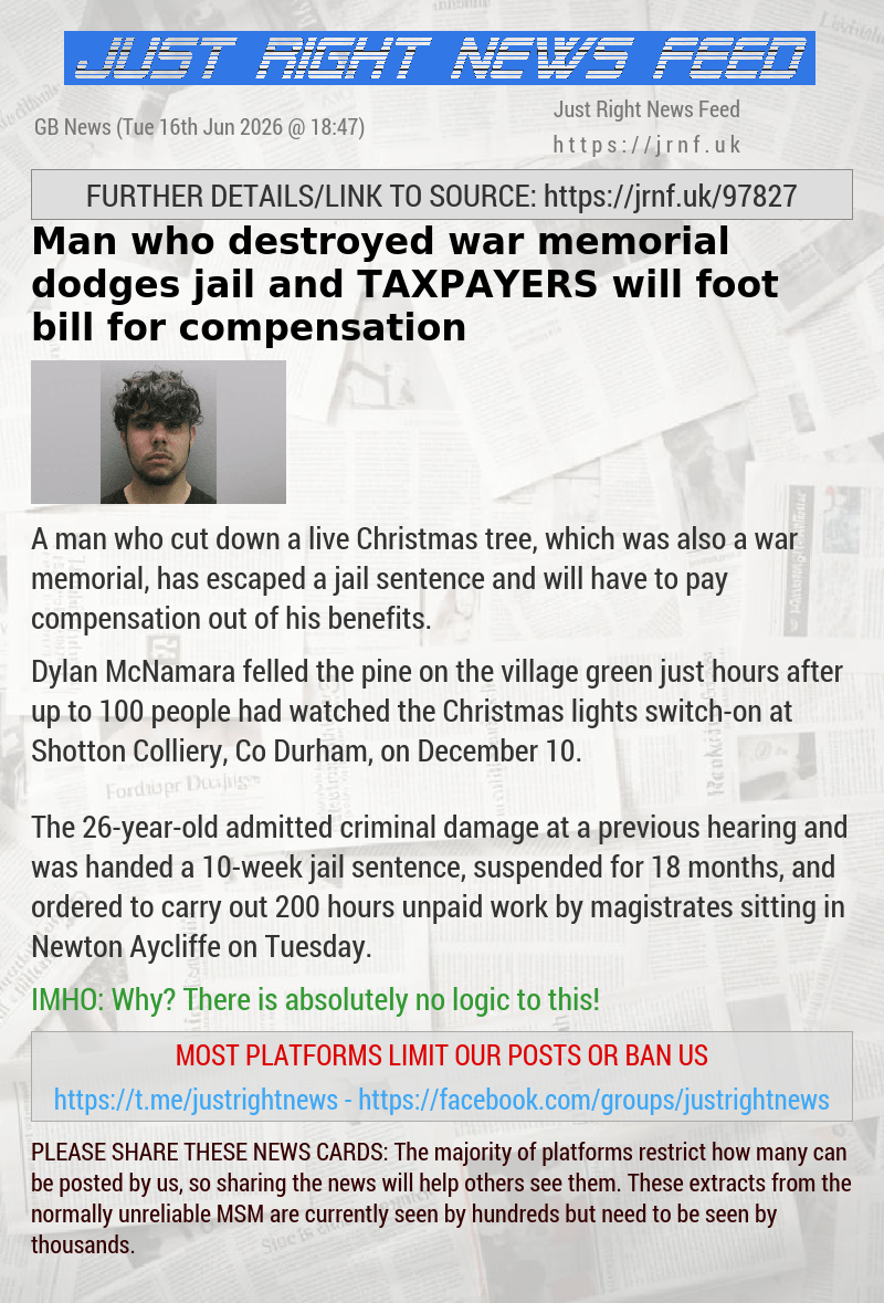 Man who destroyed war memorial dodges jail and TAXPAYERS will foot bill for compensation