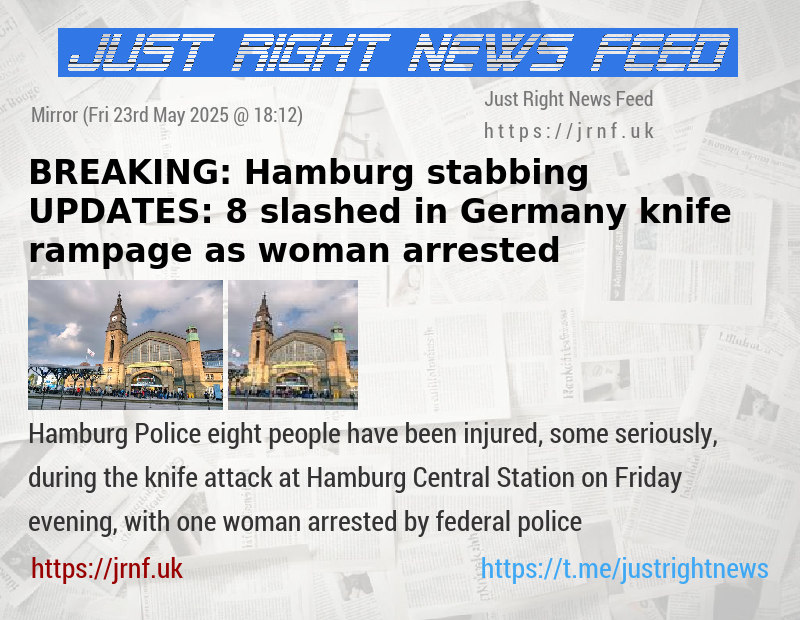 BREAKING: Hamburg stabbing UPDATES: 8 slashed in Germany knife rampage as woman arrested