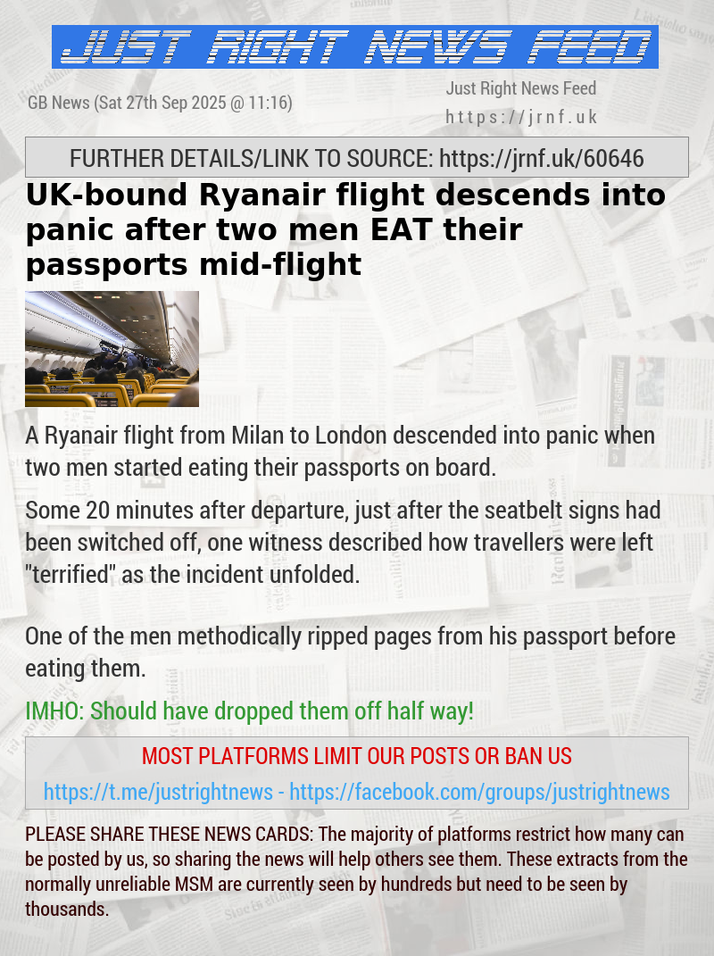 UK—bound Ryanair flight descends into panic after two men EAT their passports mid—flight