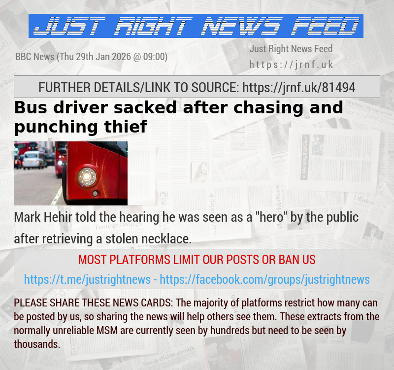 Bus driver sacked after chasing and punching thief