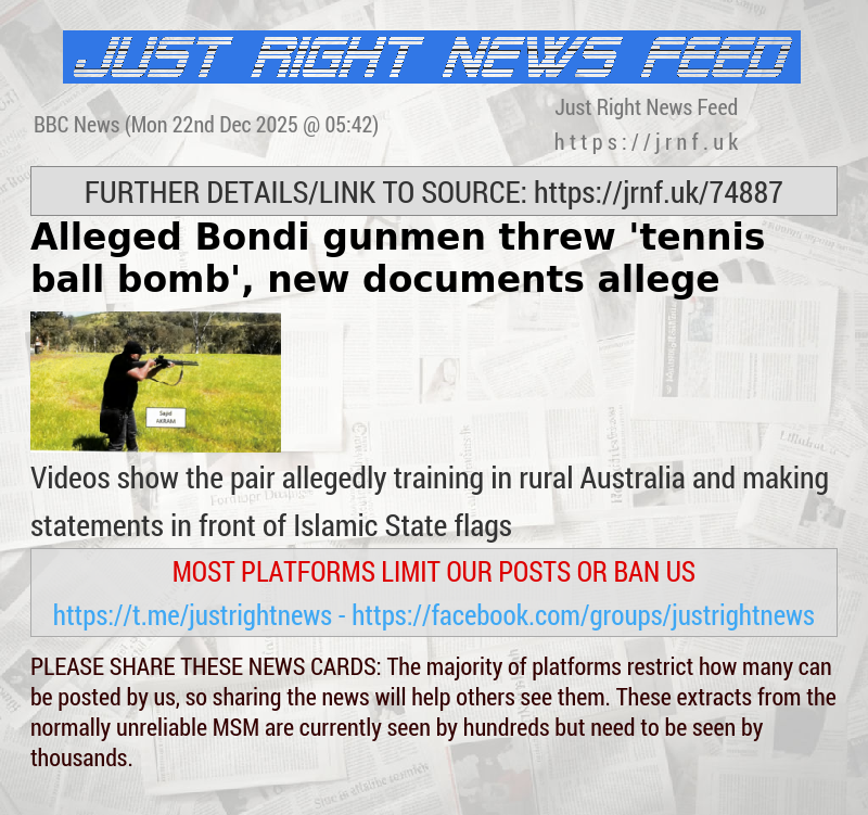 Alleged Bondi gunmen threw ’tennis ball bomb’, new documents allege