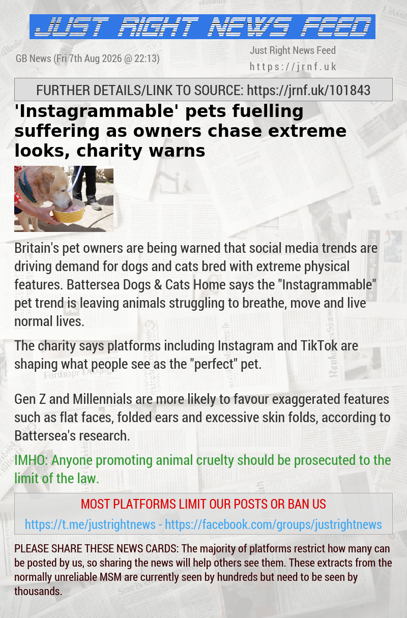 ’Instagrammable’ pets fuelling suffering as owners chase extreme looks, charity warns