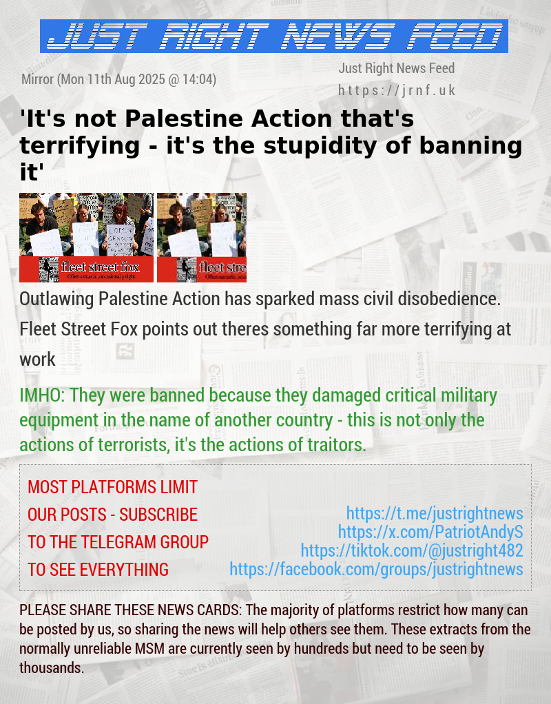 ’It’s not Palestine Action that’s terrifying — it’s the stupidity of banning it’