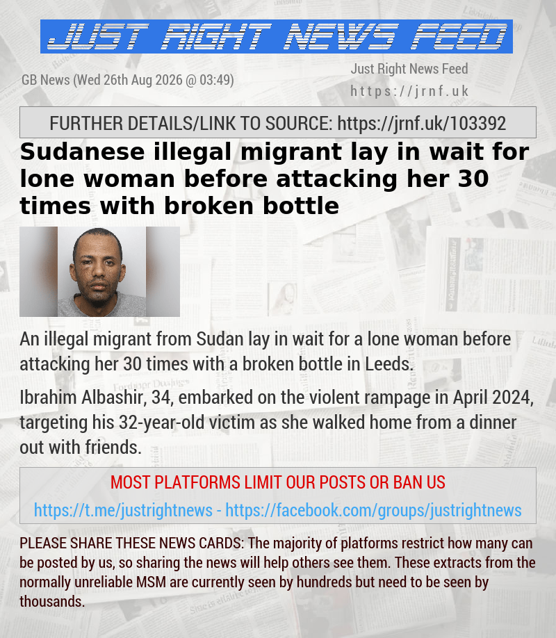 Sudanese illegal migrant lay in wait for lone woman before attacking her 30 times with broken bottle