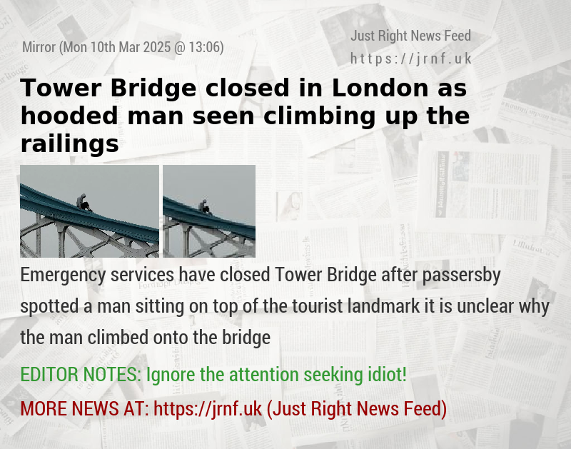 Tower Bridge closed in London as hooded man seen climbing up the railings